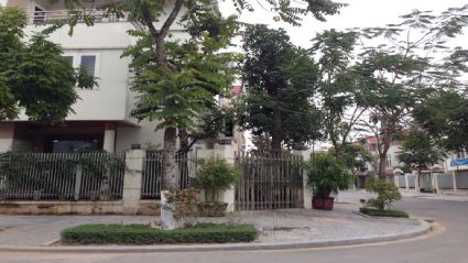 Quy định quản lý việc xây dựng đô thị và hoàn thiện nhà ở biệt thự Văn Phú